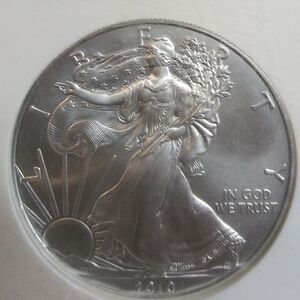 Certified Silver Coin in Silver - Graded Protection Case